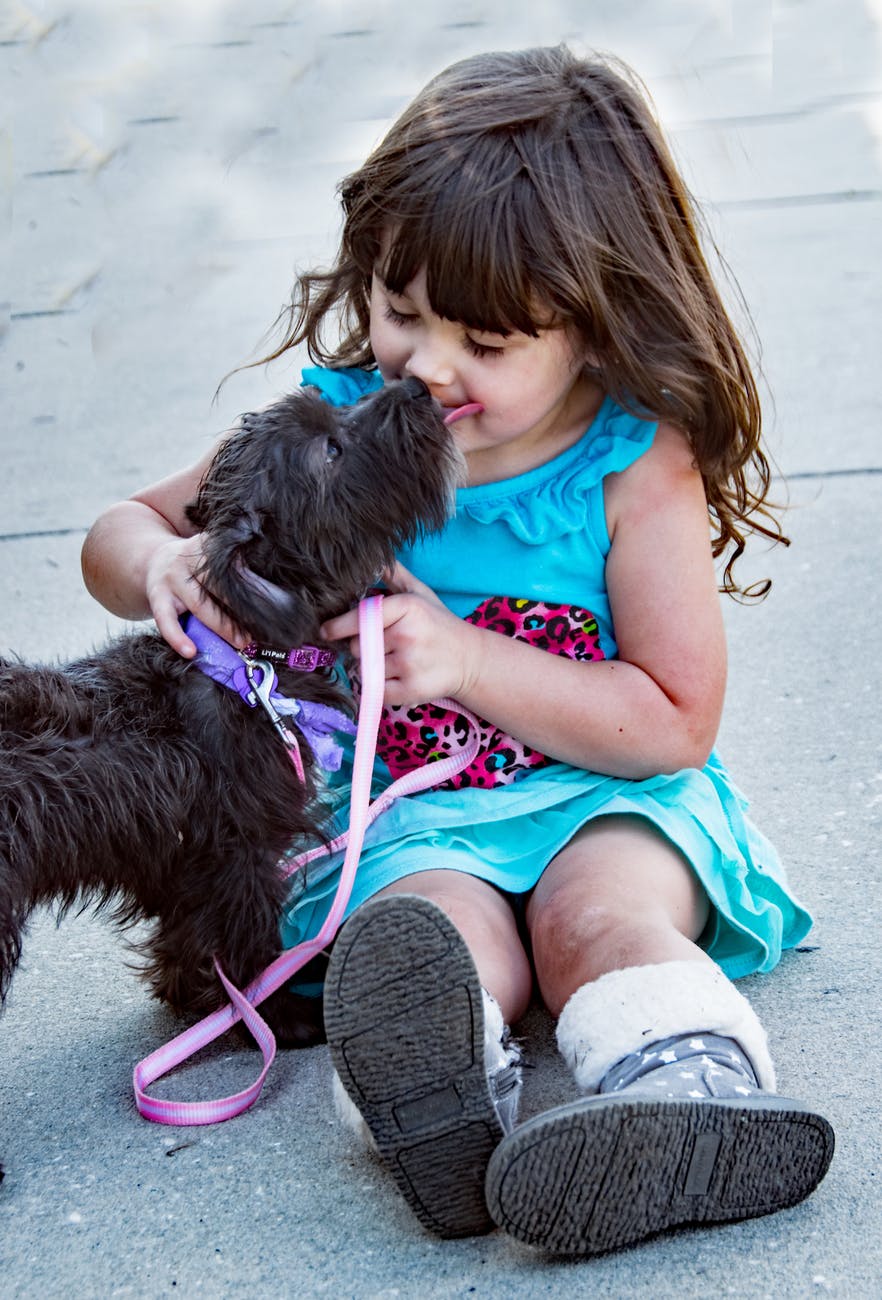black dog beside little girl